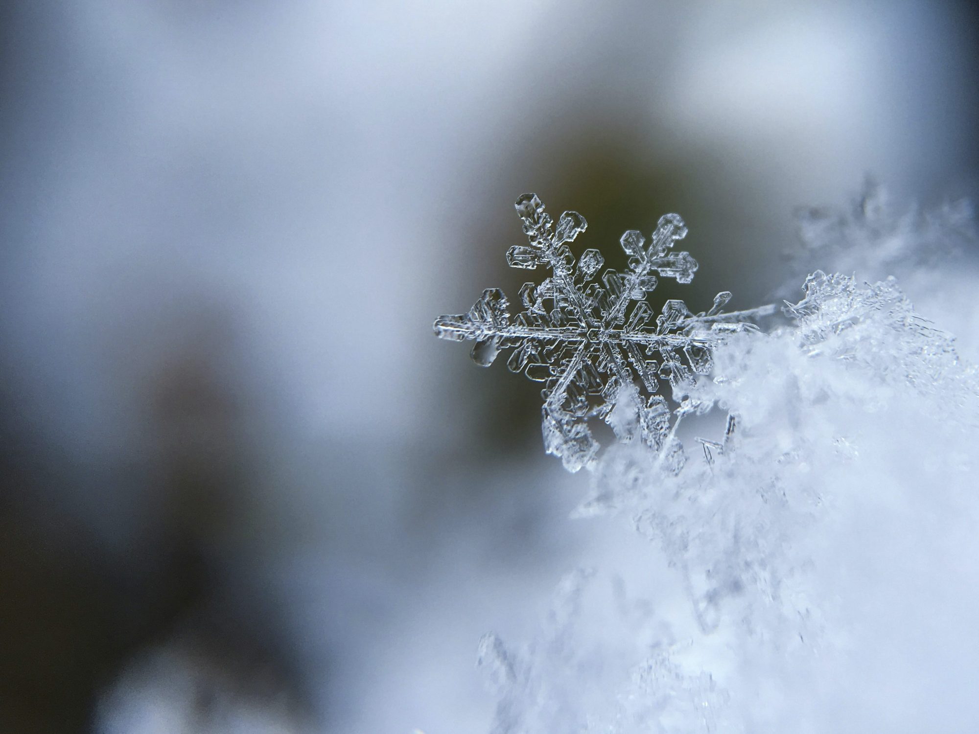 Winter Season Information and Useful Contacts